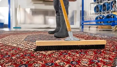Carpet grooming Adelaide
