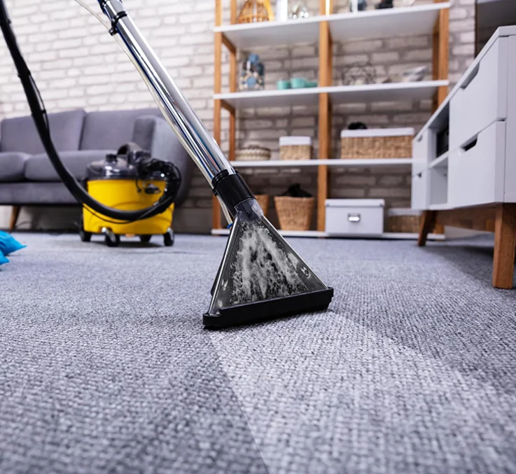 Revitalize Your Home: The Importance of Professional Carpet Cleaning