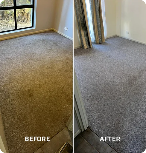 Professional carpet cleaning in Adelaide Hills by Inverclean