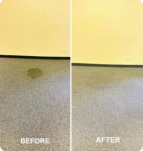 Wall-to-wall carpet cleaning in Salisbury by Inverclean
