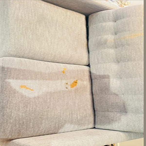 Choose carpet cleaning Prospect solutions for allergy-free living with Inver Clean.