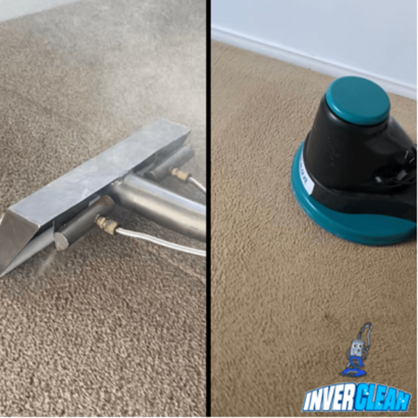 Cherish a sterilized home space by engaging licensed services of carpet steam cleaning Adelaide