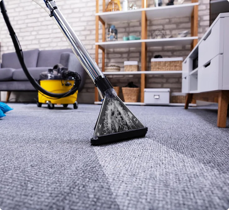 Inverclean’s Carpet Steam Cleaning Services Adelaide